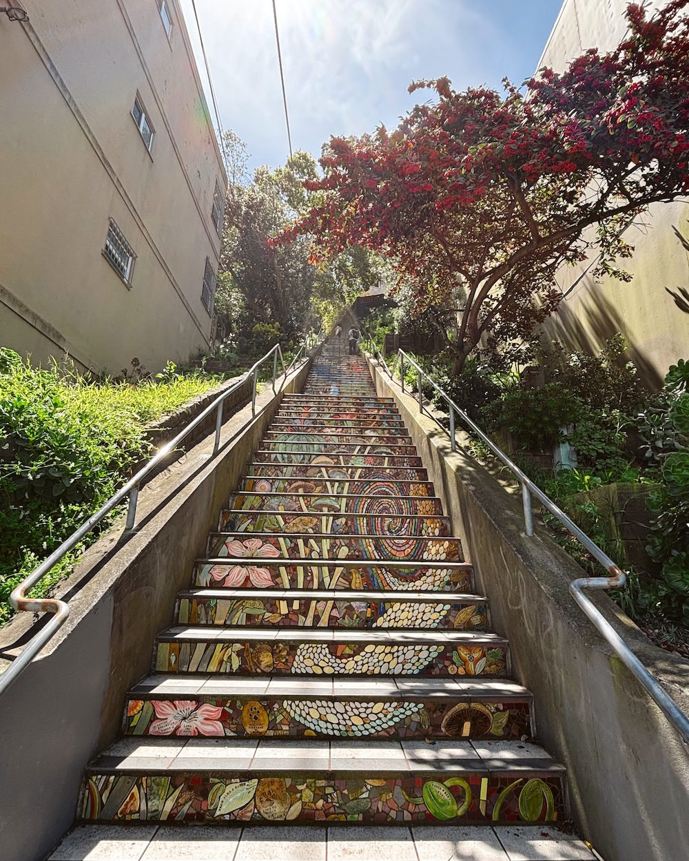 The Mosaic Stairs in San Francisco - Carrie Green-Zinn
